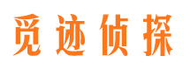 坡头市私家侦探